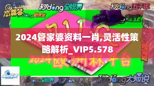 2024管家婆资料一肖,灵活性策略解析_VIP5.578