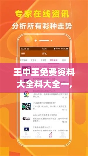王中王免费资料大全料大全一,高速方案响应解析_Premium3.976