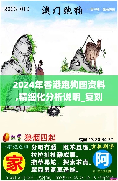 2024年香港跑狗图资料,精细化分析说明_复刻版18.260