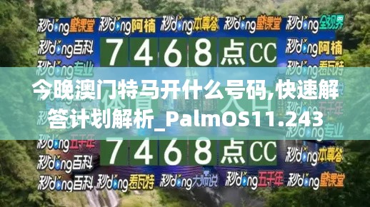 今晚澳门特马开什么号码,快速解答计划解析_PalmOS11.243