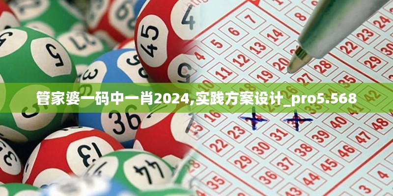 管家婆一码中一肖2024,实践方案设计_pro5.568
