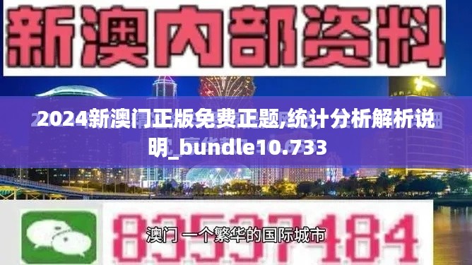 2024新澳门正版免费正题,统计分析解析说明_bundle10.733