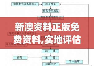 新澳资料正版免费资料,实地评估数据策略_顶级款2.242