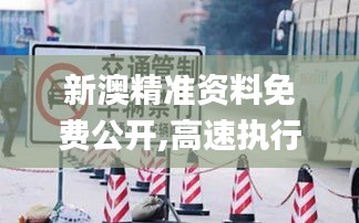 新澳精准资料免费公开,高速执行响应计划_终极版7.304