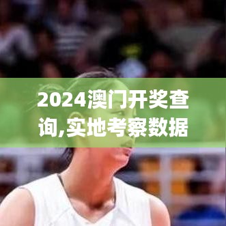 2024澳门开奖查询,实地考察数据策略_钻石版11.830