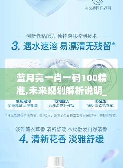 蓝月亮一肖一码100精准,未来规划解析说明_潮流版2.347