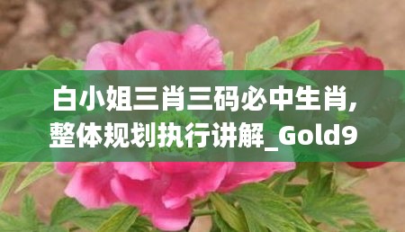 白小姐三肖三码必中生肖,整体规划执行讲解_Gold9.777