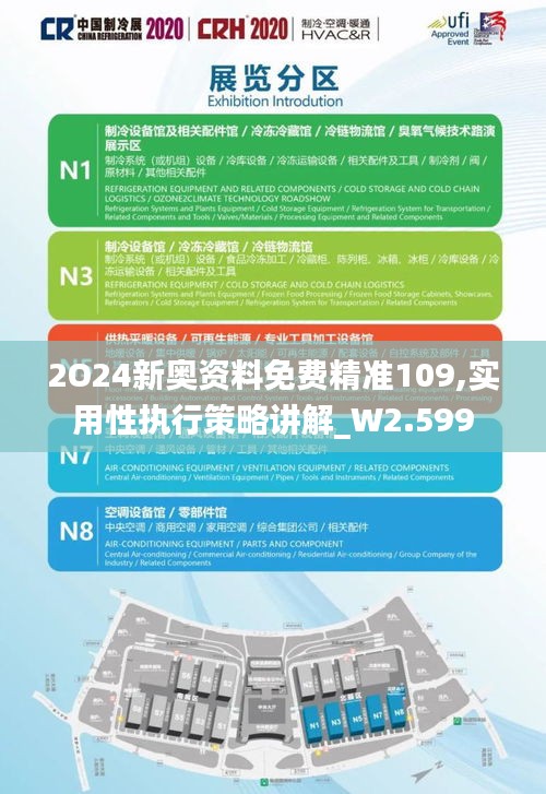 2O24新奥资料免费精准109,实用性执行策略讲解_W2.599