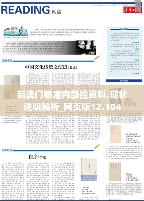 新澳门精准内部挂资料,现状说明解析_网页版12.104