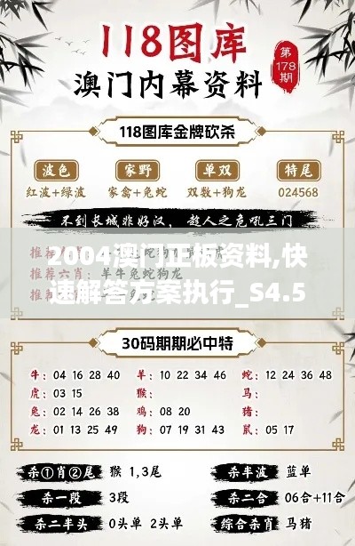 2004澳门正板资料,快速解答方案执行_S4.524