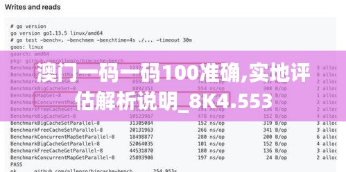 澳门一码一码100准确,实地评估解析说明_8K4.553