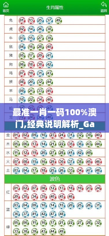 最准一肖一码100%澳门,经典说明解析_Galaxy9.892