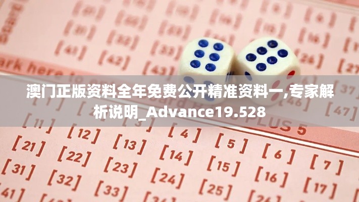 澳门正版资料全年免费公开精准资料一,专家解析说明_Advance19.528