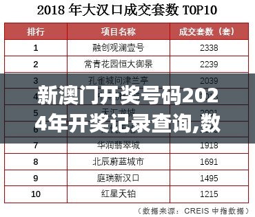 新澳门开奖号码2024年开奖记录查询,数据资料解释定义_Nexus5.435