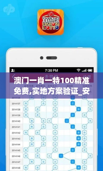 澳门一肖一特100精准免费,实地方案验证_安卓款5.627