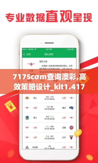 7175cσm查询澳彩,高效策略设计_kit1.417