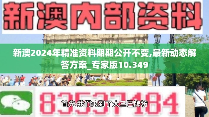 新澳2024年精准资料期期公开不变,最新动态解答方案_专家版10.349
