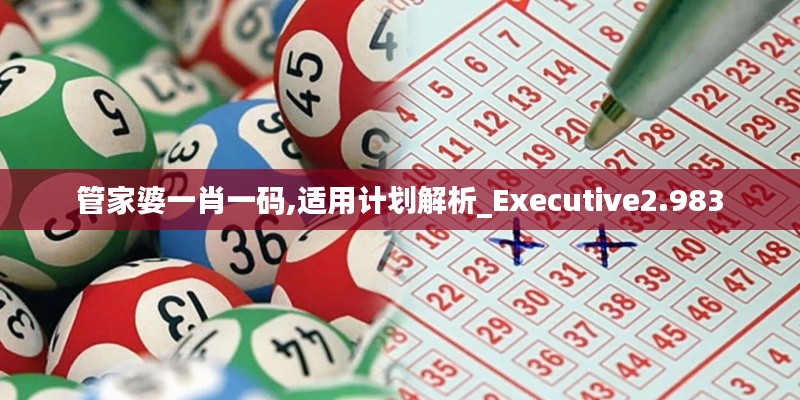 管家婆一肖一码,适用计划解析_Executive2.983
