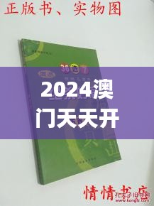 2024澳门天天开好彩大全杀码,实践说明解析_WearOS2.810