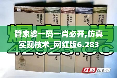 管家婆一码一肖必开,仿真实现技术_网红版6.283