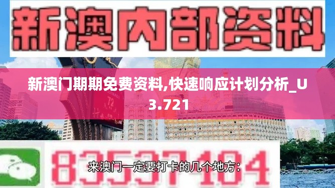 新澳门期期免费资料,快速响应计划分析_U3.721