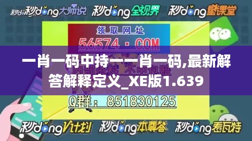 一肖一码中持一一肖一码,最新解答解释定义_XE版1.639