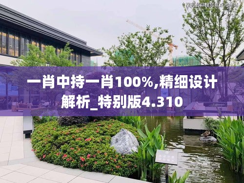 一肖中持一肖100%,精细设计解析_特别版4.310