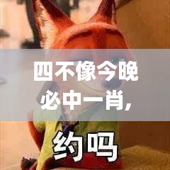 四不像今晚必中一肖,可持续实施探索_豪华款7.873