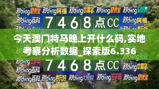 今天澳门特马晚上开什么码,实地考察分析数据_探索版6.336