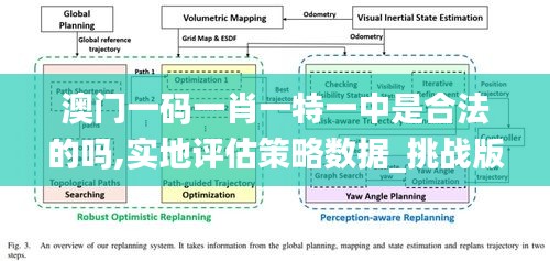 澳门一码一肖一特一中是合法的吗,实地评估策略数据_挑战版6.661