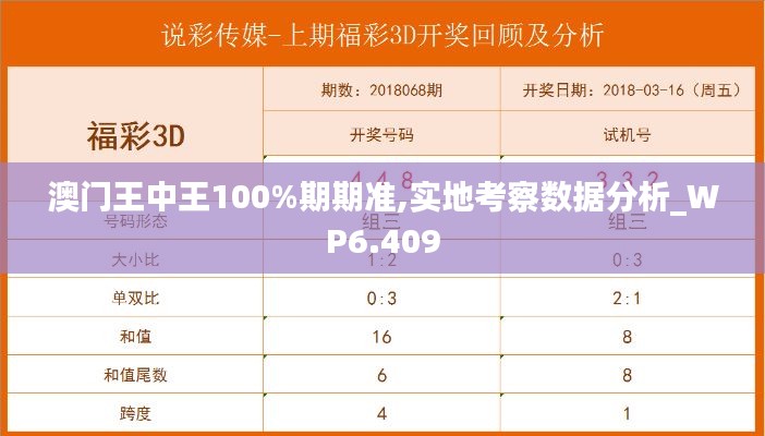 澳门王中王100%期期准,实地考察数据分析_WP6.409