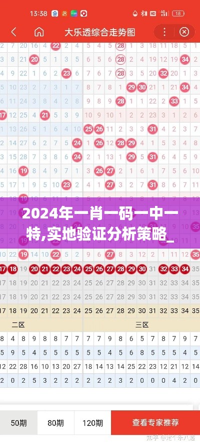 2024年一肖一码一中一特,实地验证分析策略_粉丝款10.228