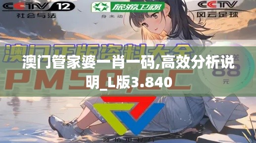 澳门管家婆一肖一码,高效分析说明_L版3.840
