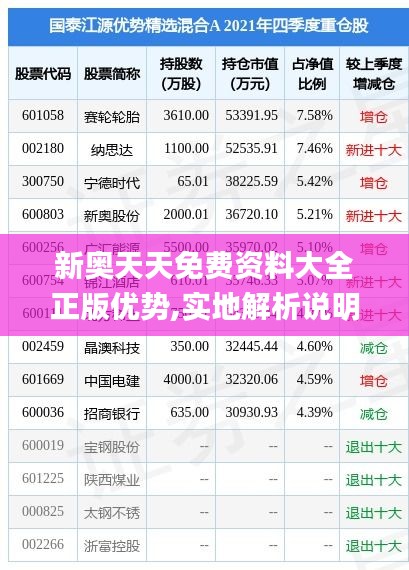 新奥天天免费资料大全正版优势,实地解析说明_Lite4.203