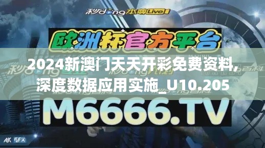 2024新澳门天天开彩免费资料,深度数据应用实施_U10.205