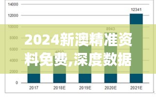 2024新澳精准资料免费,深度数据应用策略_增强版13.458