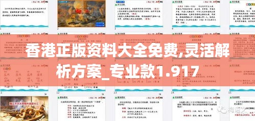 香港正版资料大全免费,灵活解析方案_专业款1.917