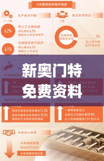 新奥门特免费资料大全管家婆料,全面理解执行计划_基础版6.621
