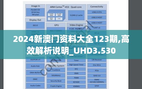 2024新澳门资料大全123期,高效解析说明_UHD3.530