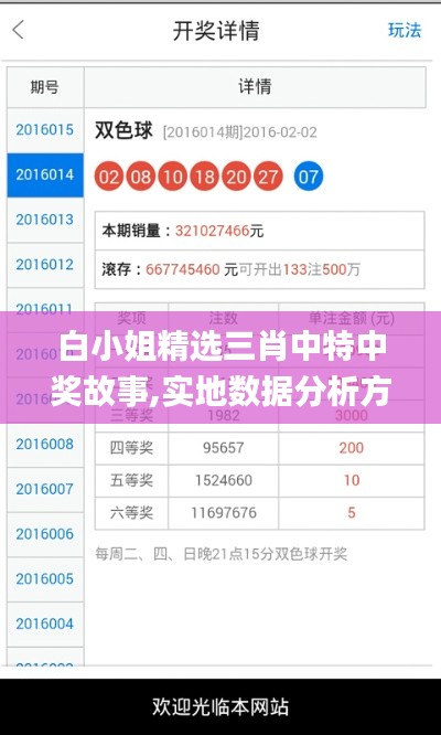 白小姐精选三肖中特中奖故事,实地数据分析方案_The3.702