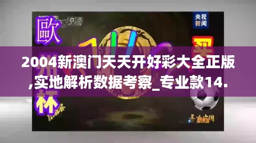2004新澳门天天开好彩大全正版,实地解析数据考察_专业款14.648