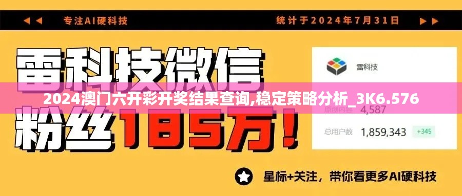 2024澳门六开彩开奖结果查询,稳定策略分析_3K6.576