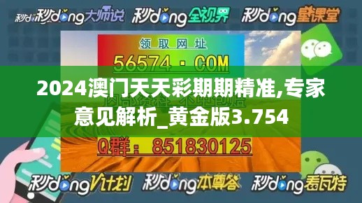2024澳门天天彩期期精准,专家意见解析_黄金版3.754