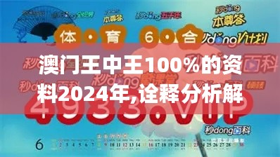 澳门王中王100%的资料2024年,诠释分析解析_10DM6.413