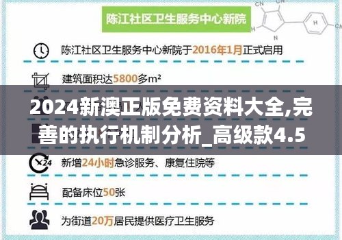 2024新澳正版免费资料大全,完善的执行机制分析_高级款4.539