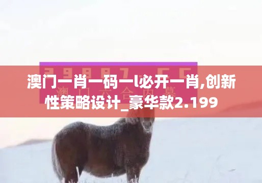 澳门一肖一码一l必开一肖,创新性策略设计_豪华款2.199