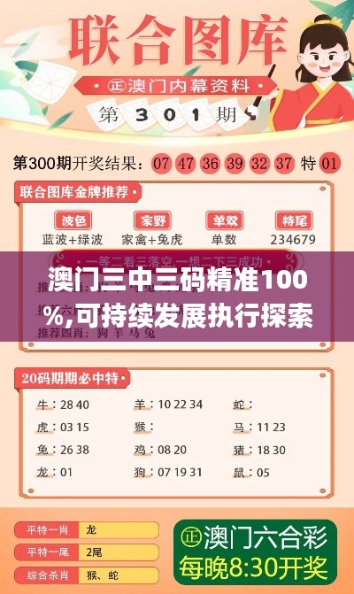 澳门三中三码精准100%,可持续发展执行探索_标配版1.271