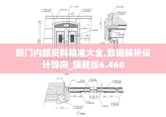 新门内部资料精准大全,数据解析设计导向_旗舰版6.460