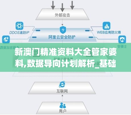 新澳门精准资料大全管家婆料,数据导向计划解析_基础版4.856