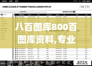 八百图库800百图库资料,专业解析评估_Pixel17.523
